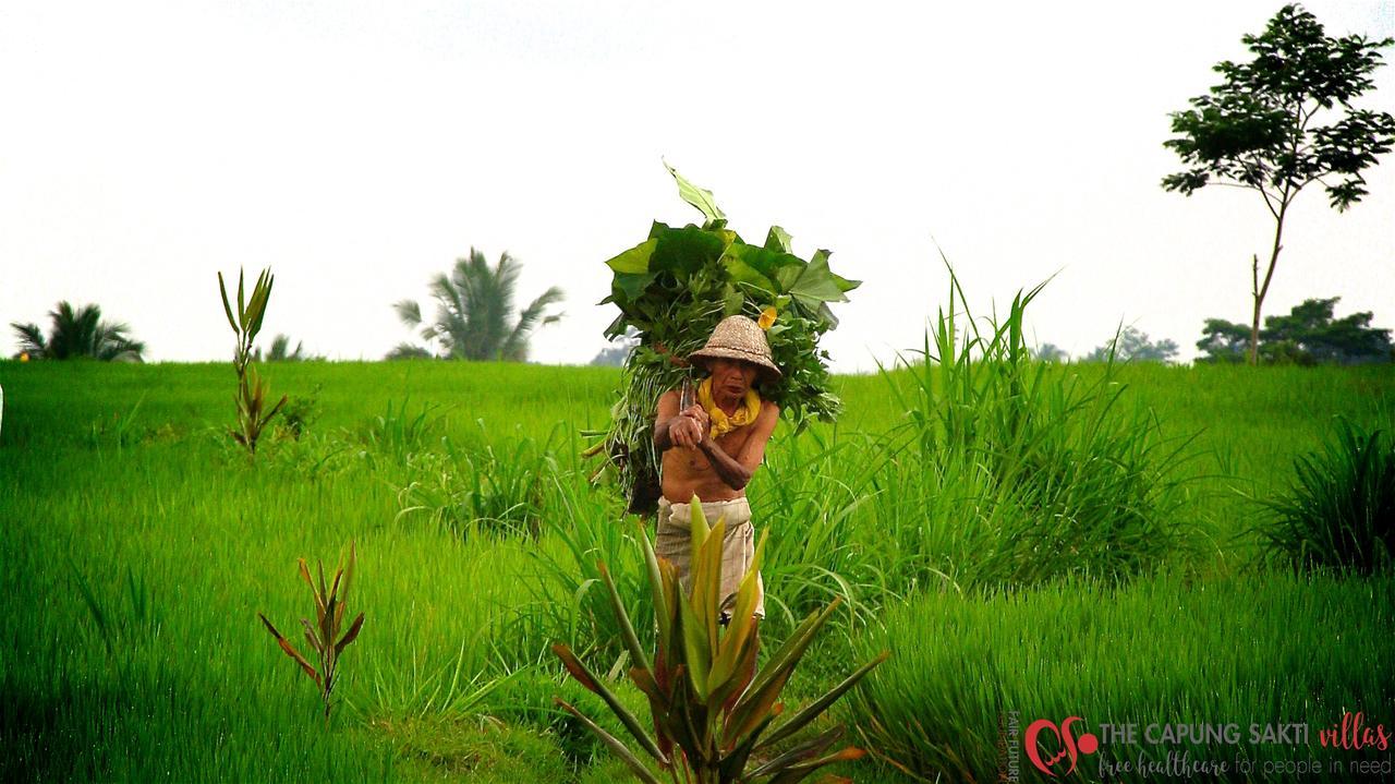 Capung Sakti Villas Ubud Exteriér fotografie